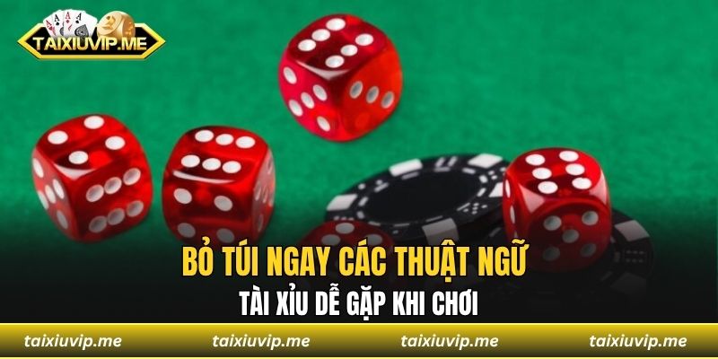 Bỏ túi ngay các thuật ngữ tài xỉu dễ gặp khi chơi
