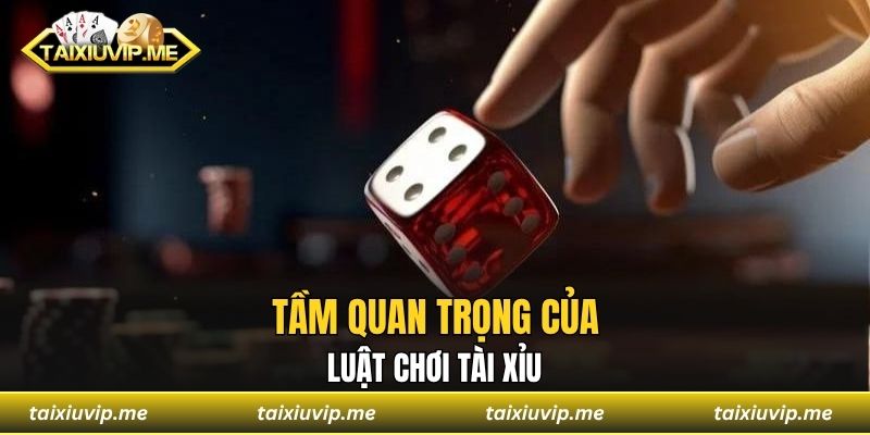 Luật Chơi Tài Xỉu Chính Xác Trọn Bộ Cho Anh Em Tham Khảo Tầm quan trọng của luật chơi tài xỉu